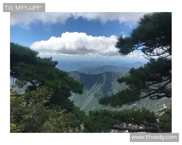 赛后分析：杭州篮球队与南京篮球队的战术意识与表现对比