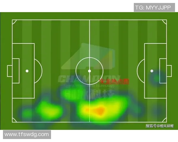 深圳排球队与北京排球队赛后复盘分析团队配合与战术执行的关键因素